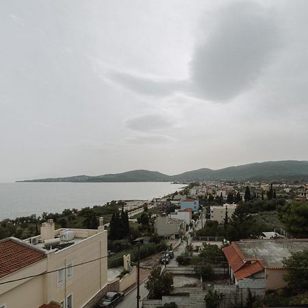 Niki House Apartment Volos Bagian luar foto