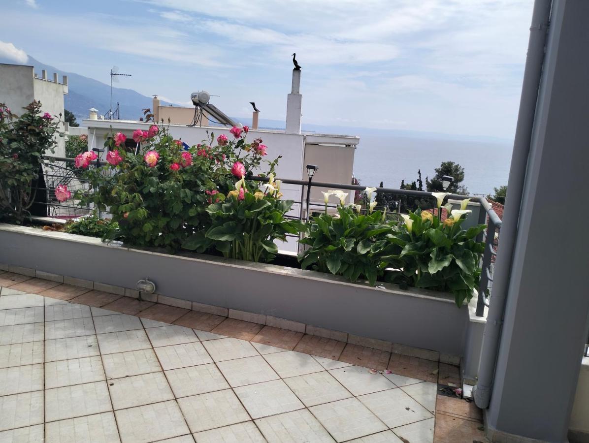 Niki House Apartment Volos Bagian luar foto
