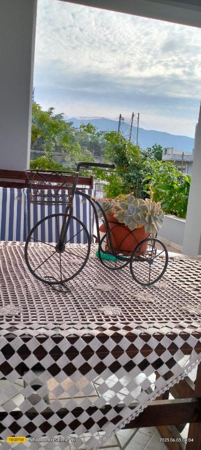 Niki House Apartment Volos Bagian luar foto