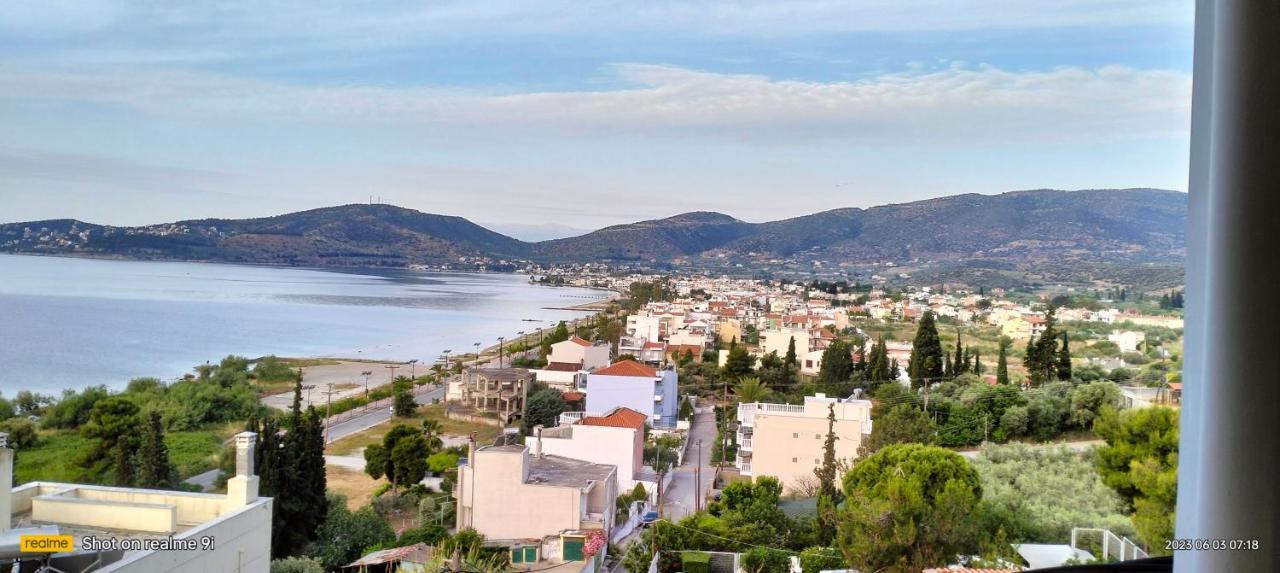 Niki House Apartment Volos Bagian luar foto